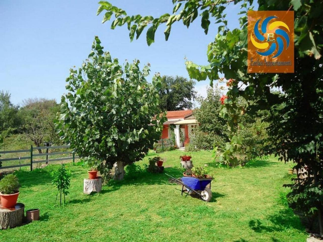 Apartamento Errika Ypsos Exterior foto