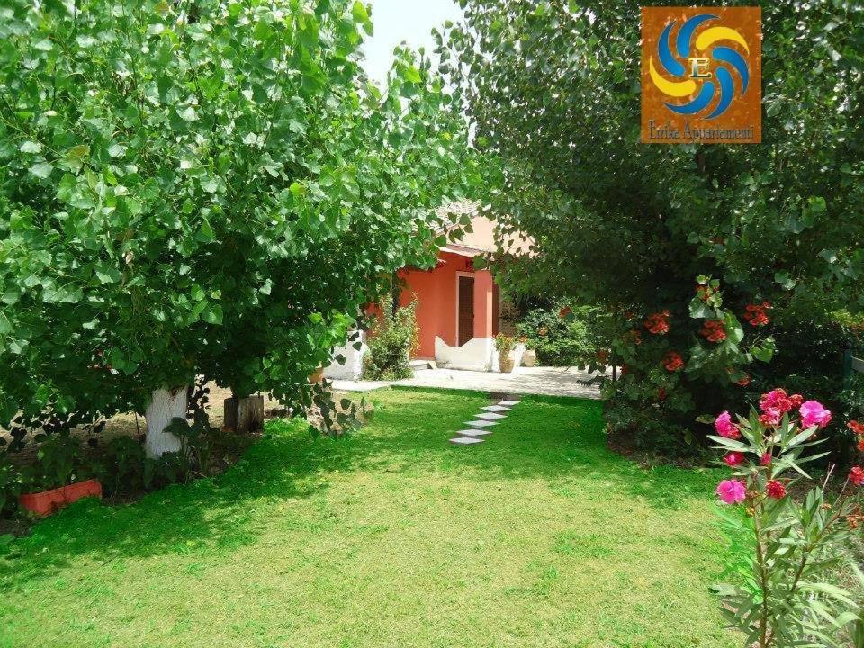 Apartamento Errika Ypsos Habitación foto